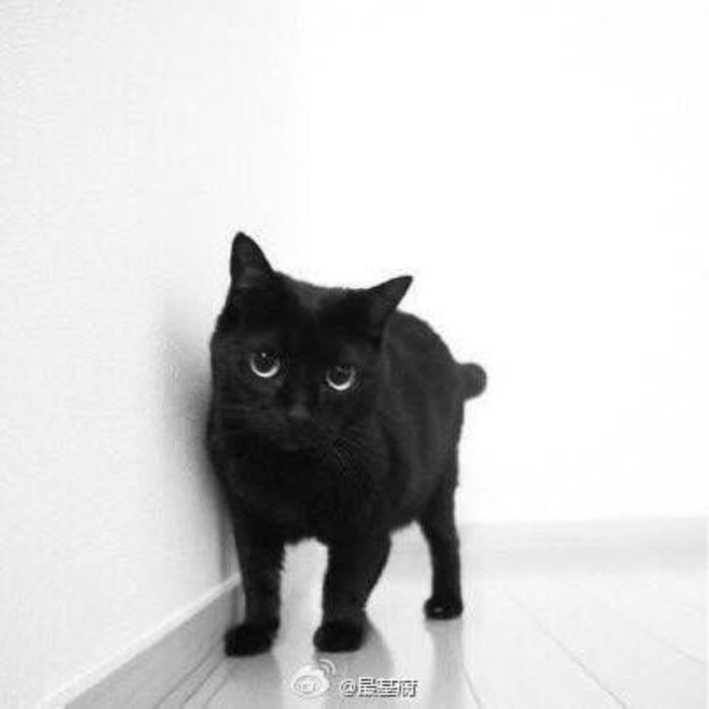 Meet your Posher, Yuchen